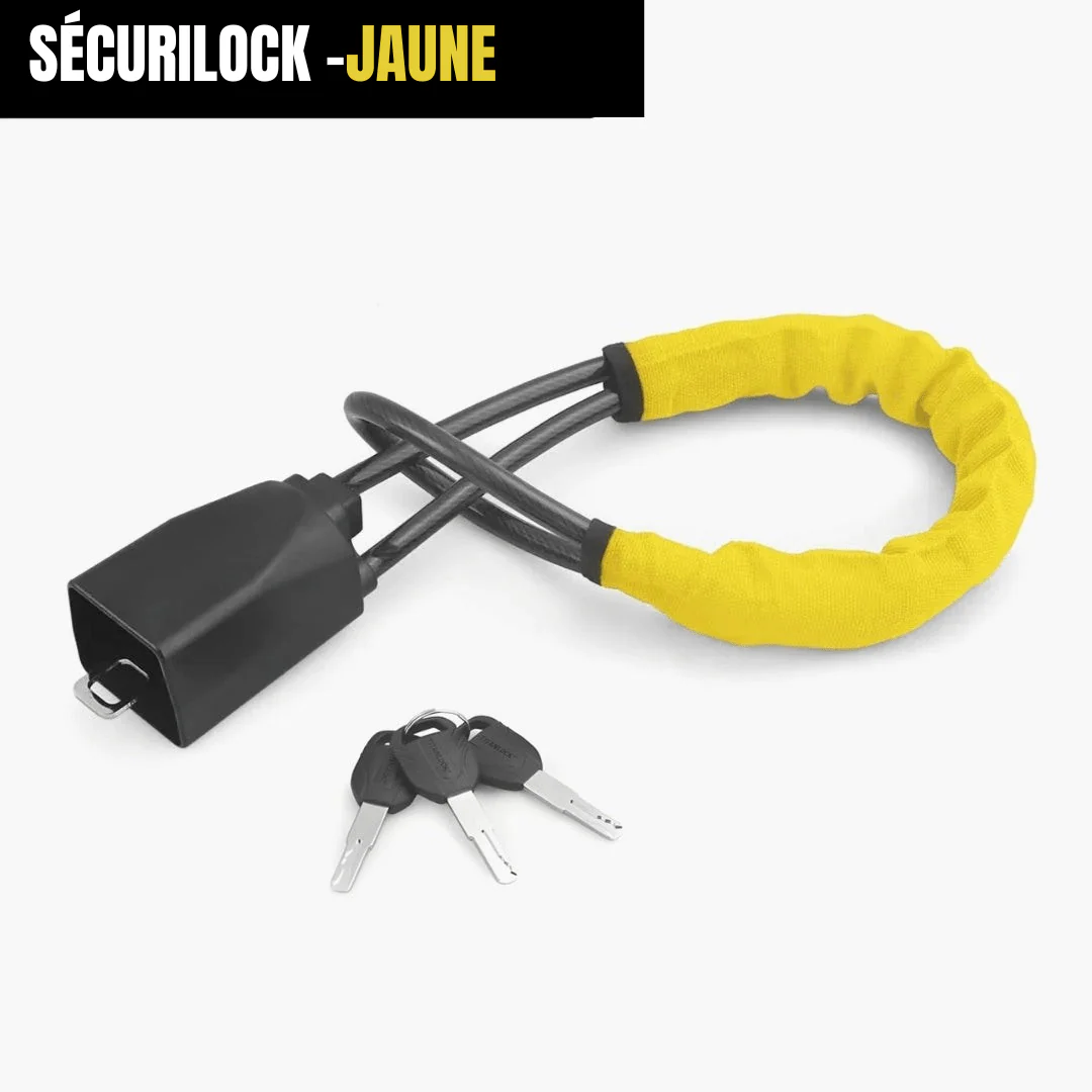 Antivol de sécurité pour voiture – Image 7