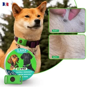 Collier antiparasitaire pour chiens contre les puces et les tiques