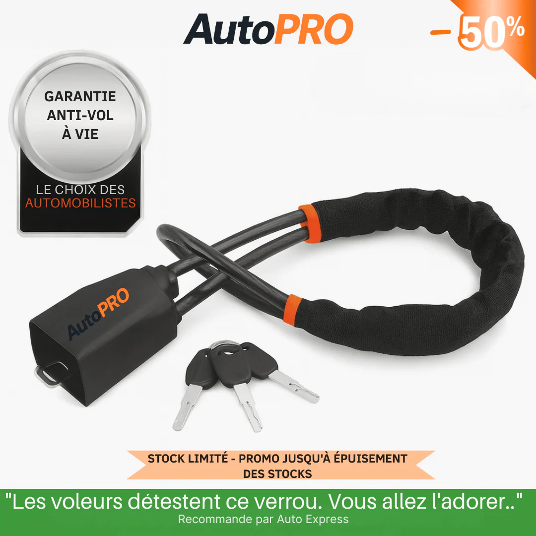 Antivol de sécurité pour voiture