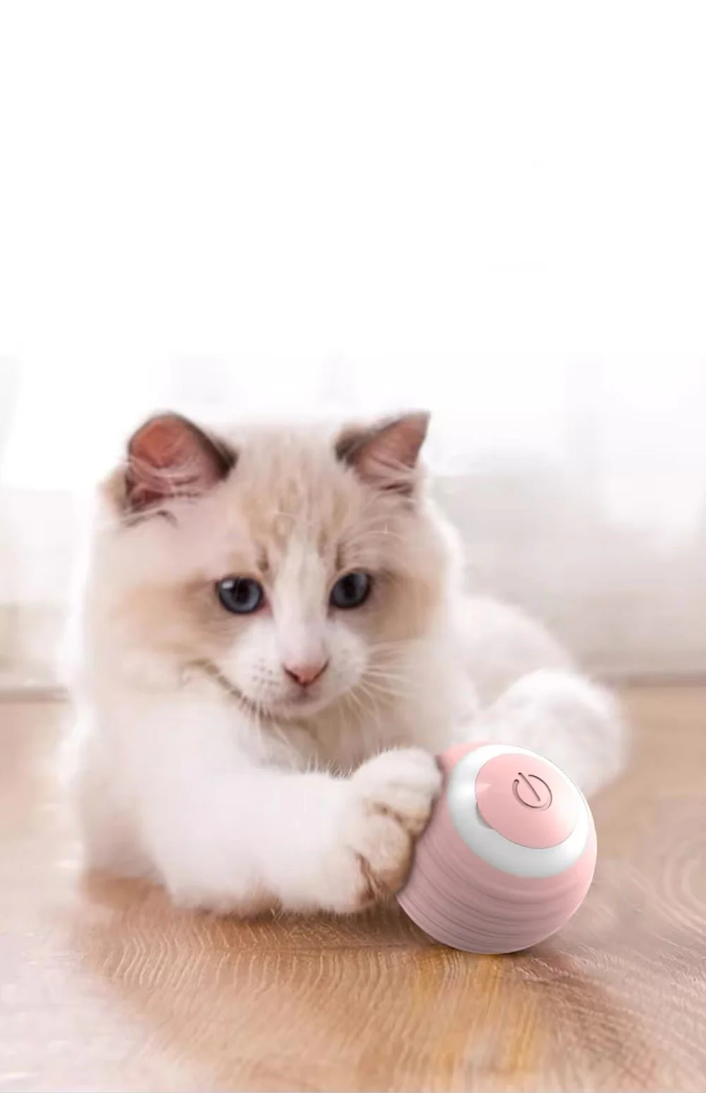 Balle de jeu interactive pour chat – Image 3