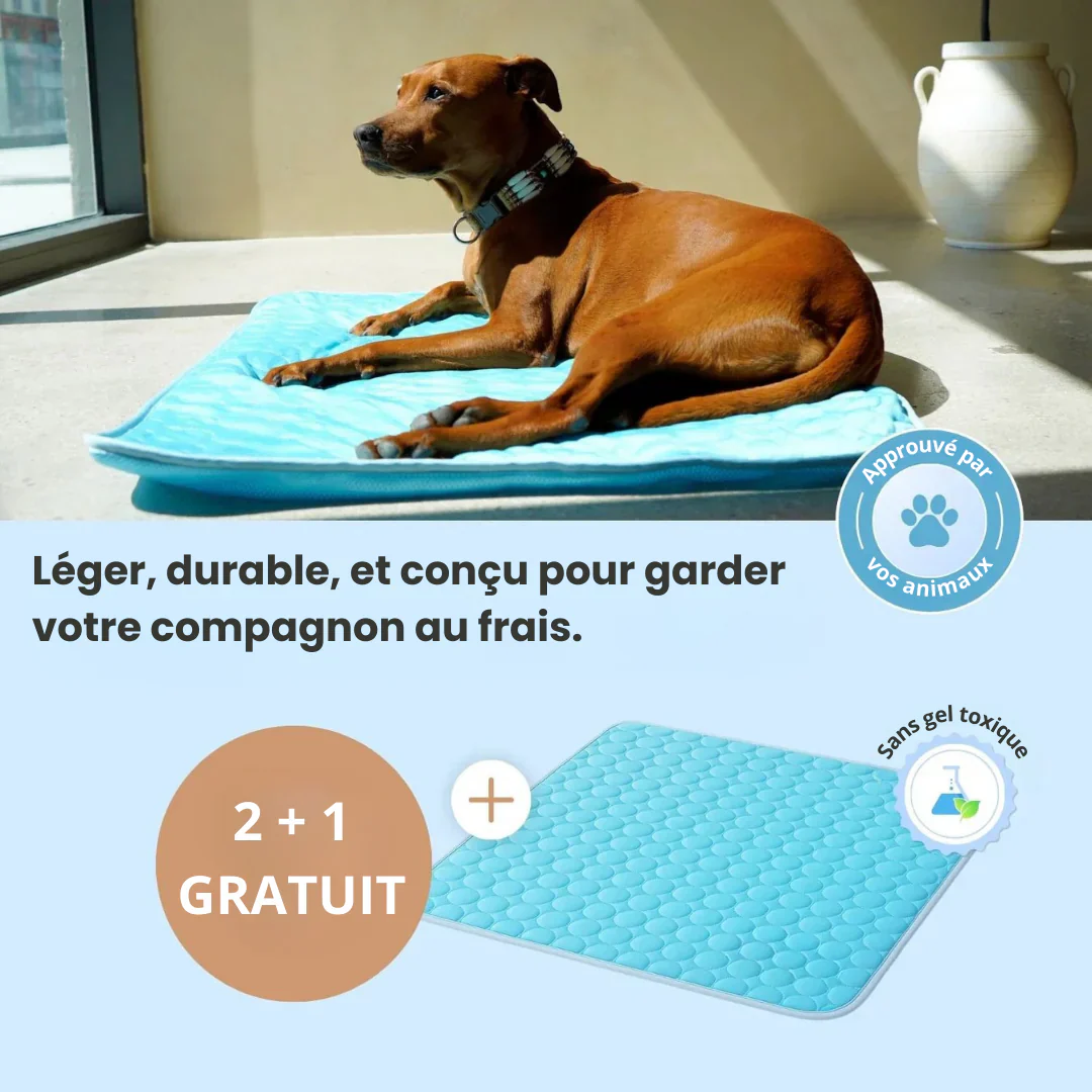 Tapis rafraîchissant pour animaux – Image 5