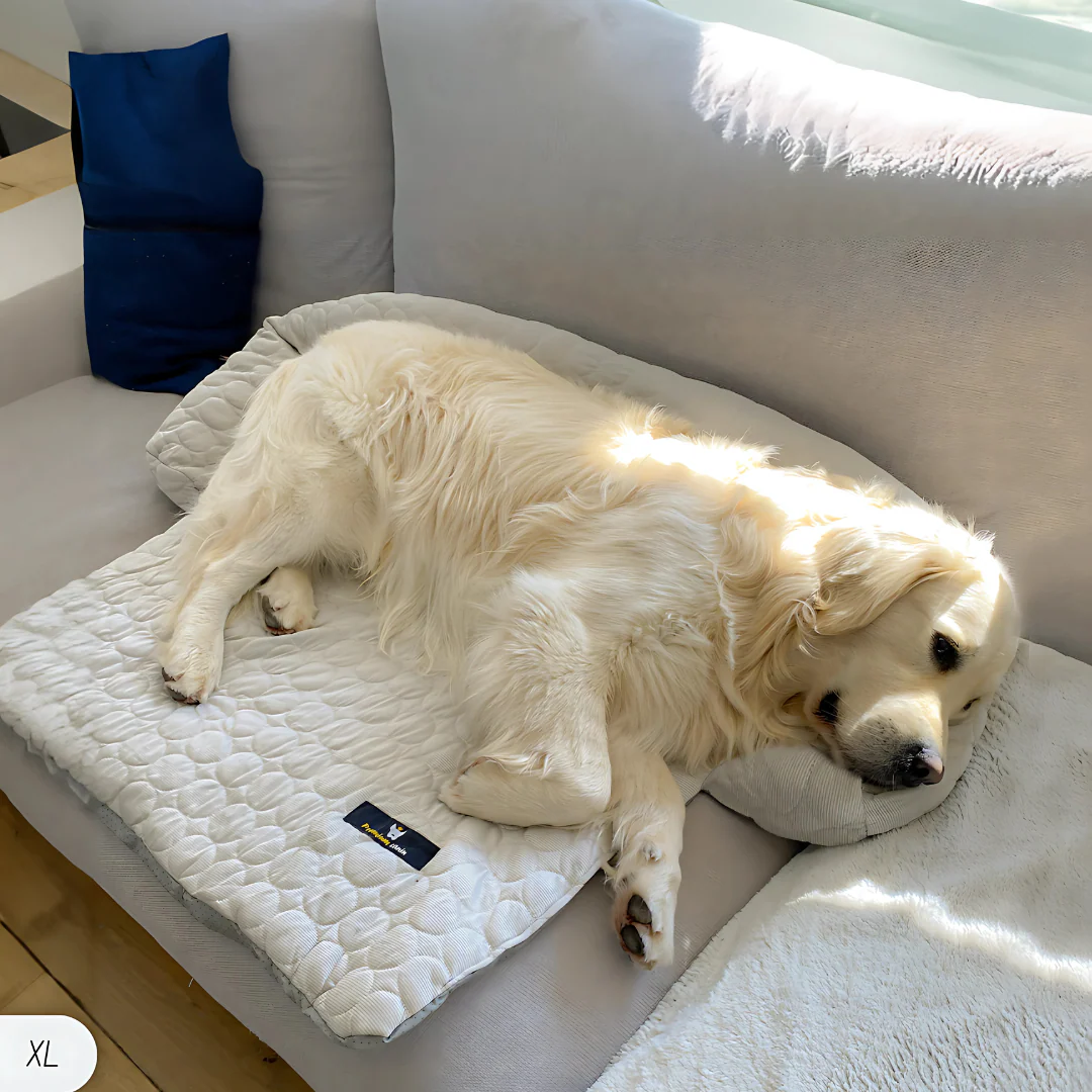 Tapis rafraîchissant pour animaux