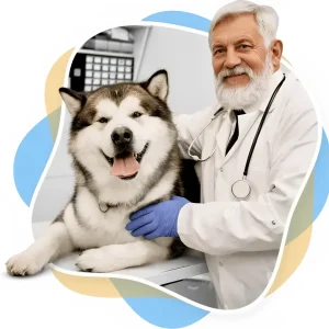 Tapis rafraîchissant automatique pour chien