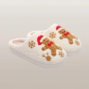 Chausson Biscuit De Noel