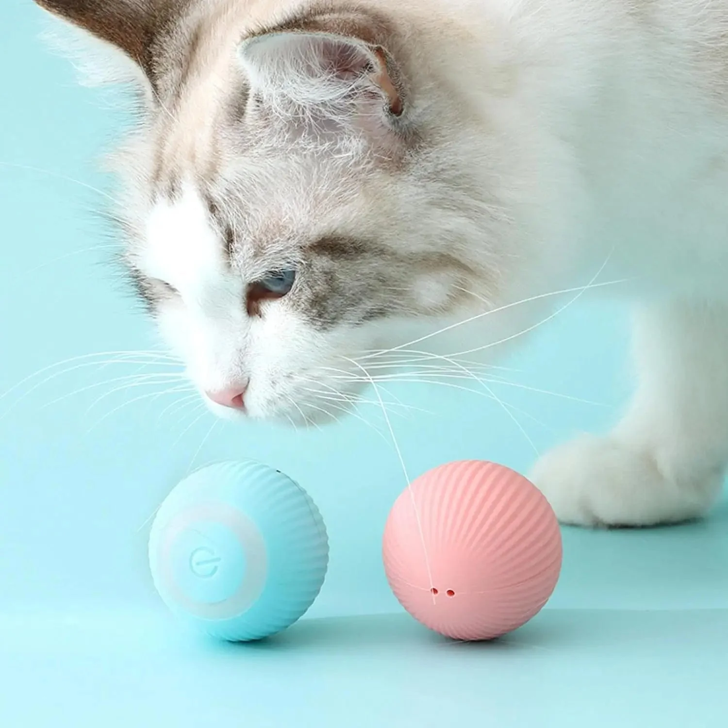 Balle de jeu interactive pour chat