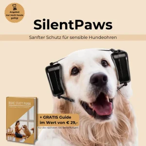 Casque antibruit pour chien