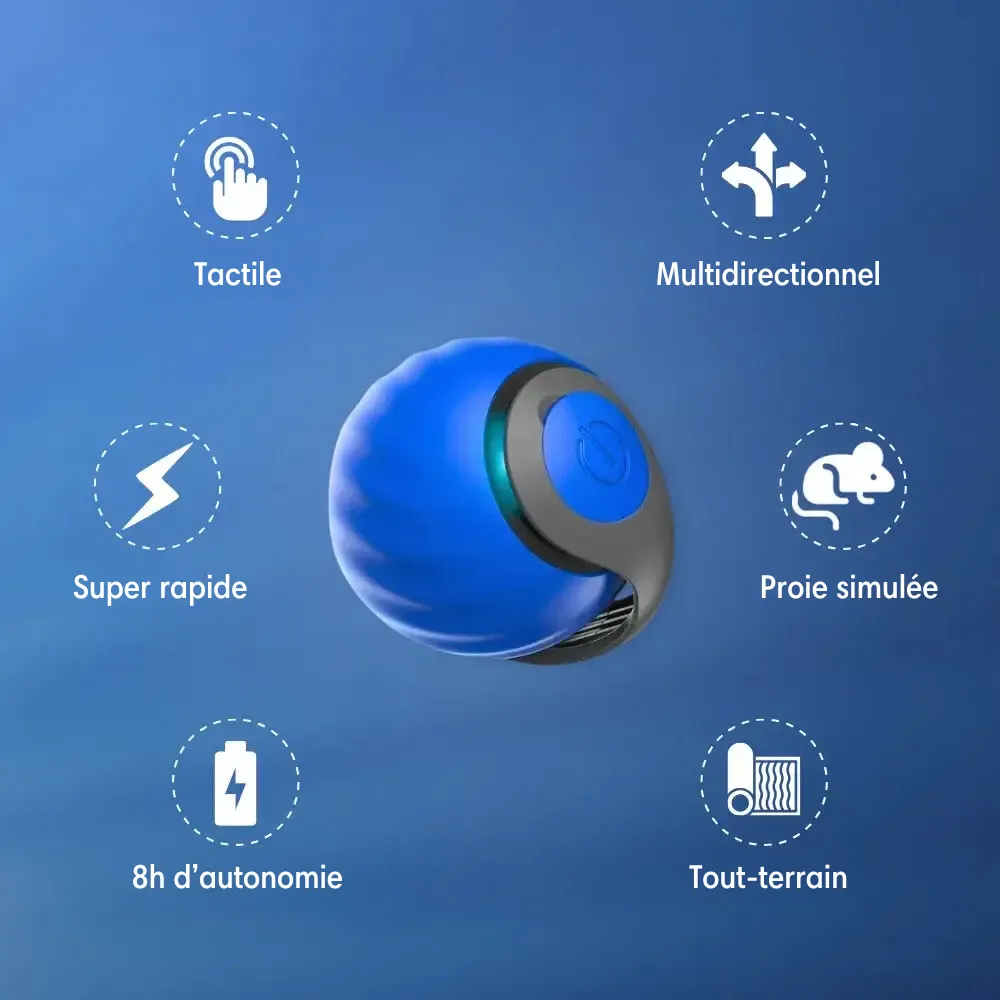 Balle Interactive à Queue Mobile – Image 3